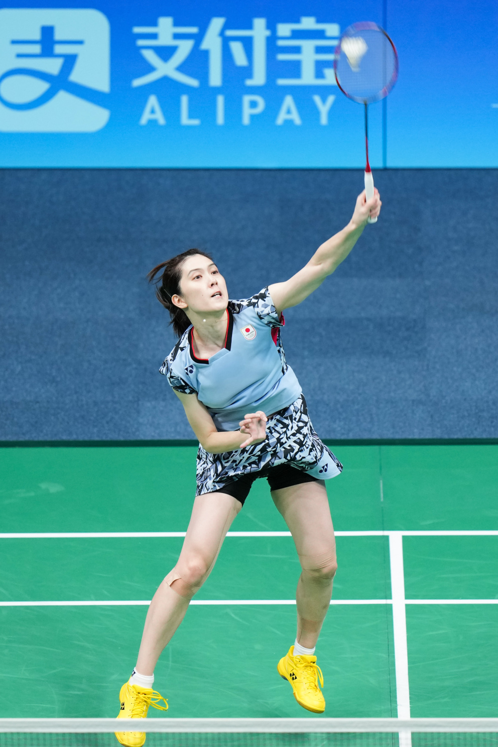 为我们提供 为我们提供